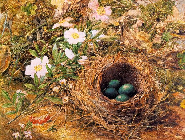 Hill, John William Bird's Nest and Dogroses Spain oil painting art